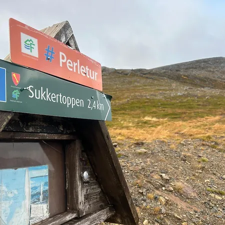 Kveldsol Lejlighed